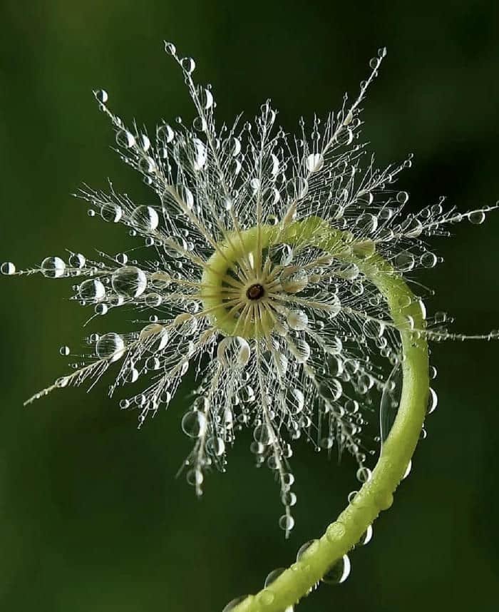 Thiên nhiên yên ả và tinh khôi đẹp