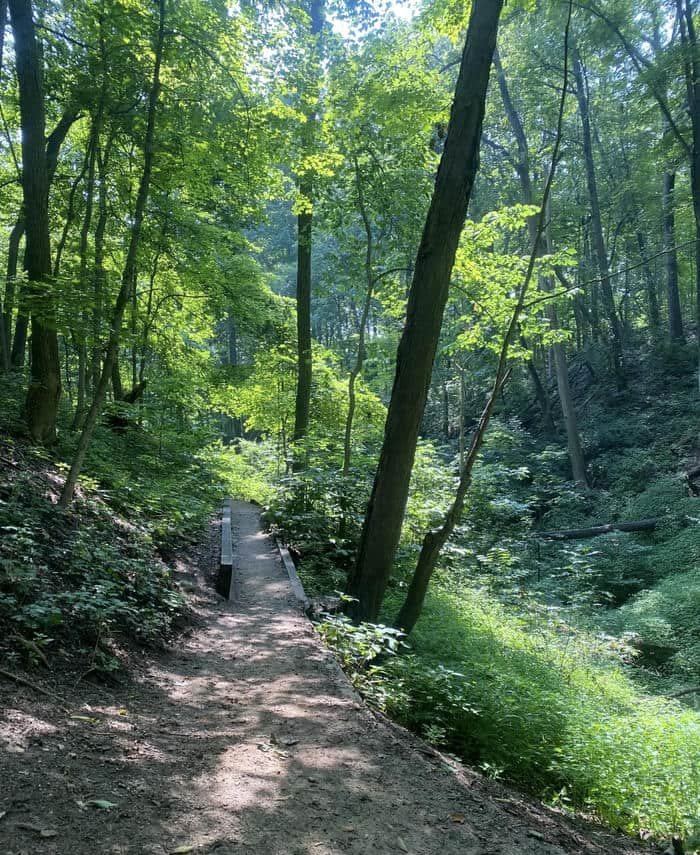 Thiên nhiên yên ả và tinh khôi nghệ thuật