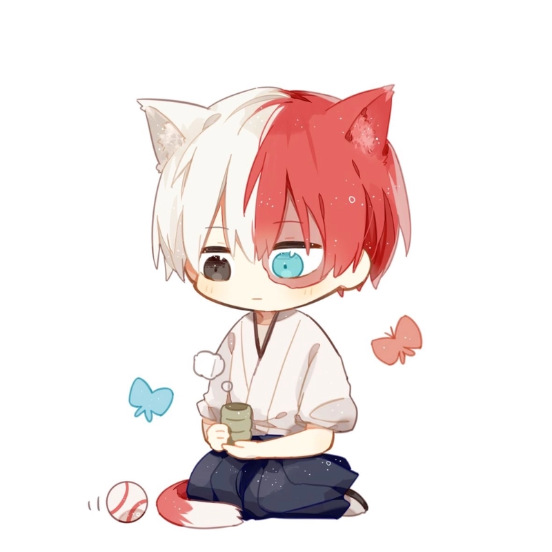 Gương mặt tròn trĩnh của Todoroki chibi cực đáng yêu