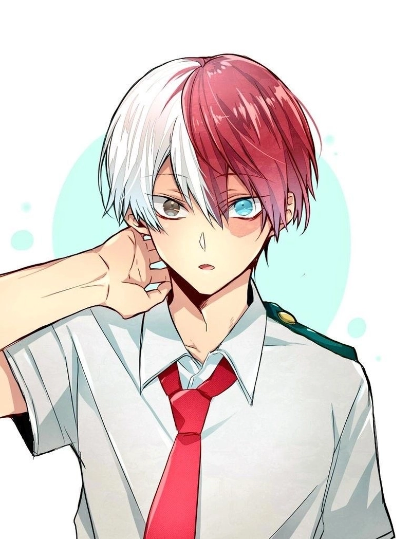Hình ảnh Todoroki với mái tóc hai màu nổi bật