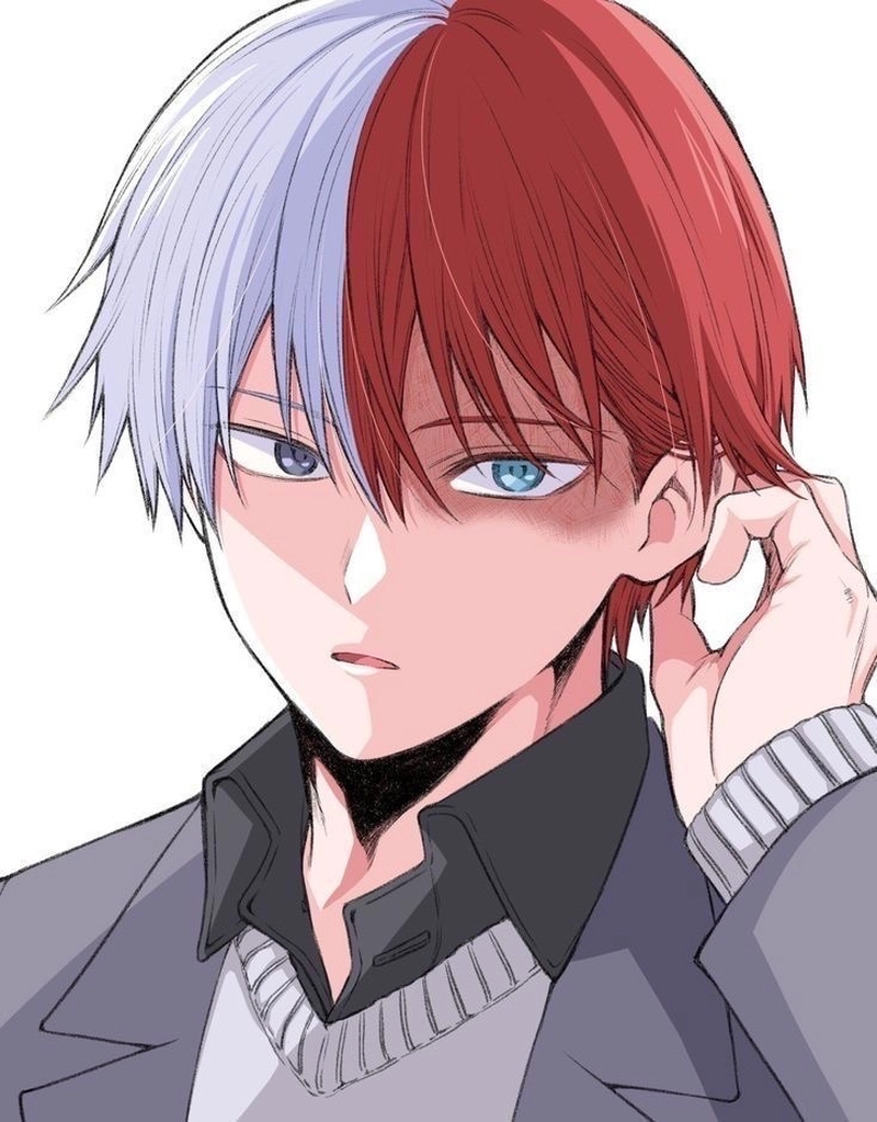 Vẻ ngoài lạnh lùng nhưng vẫn có nét cute của Todoroki
