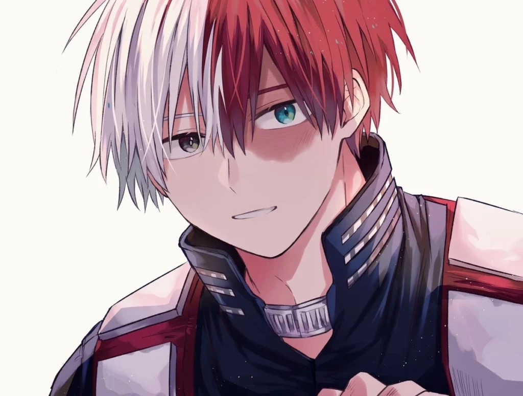 ảnh Shoto Todoroki thumbnail